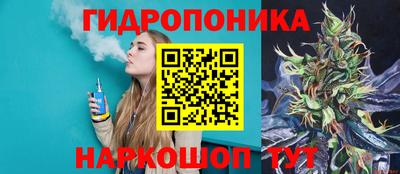 бошки Дубна